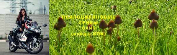 синтетический гашиш Алзамай