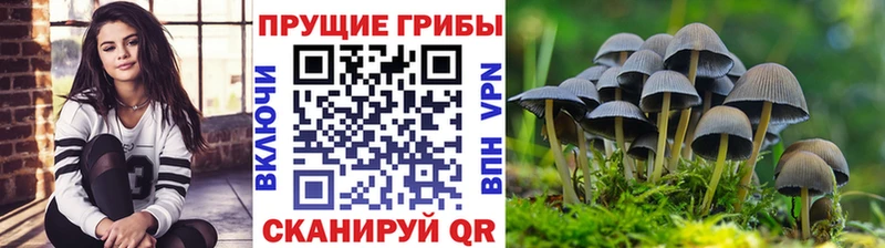 Галлюциногенные грибы ЛСД  продажа наркотиков  Павловская 